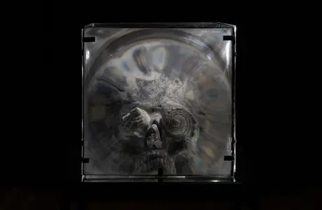 Zdjęcie z katalogu do wystawy Bartosza Nalepy pt. DNO LASU / fot. Justyna Wijowska - Szpytma