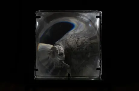 Zdjęcie z katalogu do wystawy Bartosza Nalepy pt. DNO LASU / fot. Justyna Wijowska - Szpytma