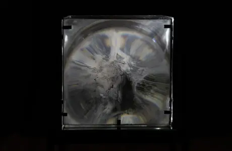 Zdjęcie z katalogu do wystawy Bartosza Nalepy pt. DNO LASU / fot. Justyna Wijowska - Szpytma