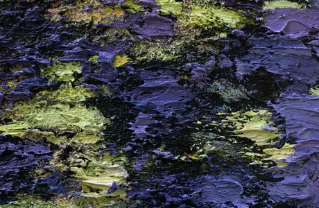 Zdjęcie z katalogu do wystawy Bartosza Nalepy pt. DNO LASU / fot. Justyna Wijowska - Szpytma