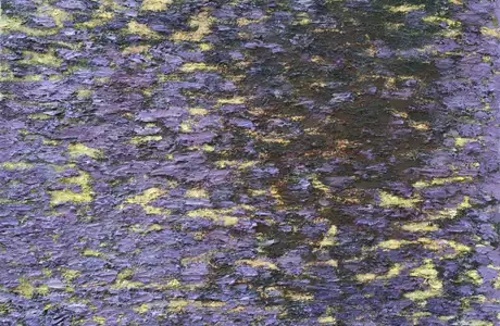 Zdjęcie z katalogu do wystawy Bartosza Nalepy pt. DNO LASU / fot. Justyna Wijowska - Szpytma