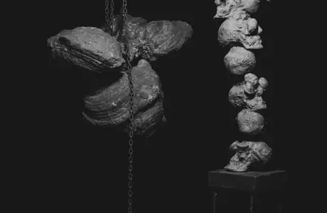 Zdjęcie z katalogu do wystawy Bartosza Nalepy pt. DNO LASU / fot. Justyna Wijowska - Szpytma