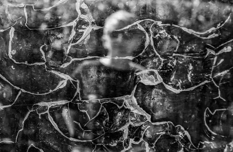 Elżbieta Rokosz - Portret nieoczywisty / Materiały prasowe