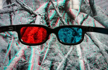 Zdjęcie z wystawy Dno Lasu - fot. ViC / RESinet.pl