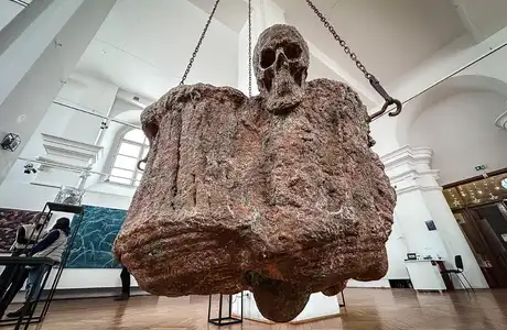 Zdjęcie z wystawy Dno Lasu - fot. ViC / RESinet.pl