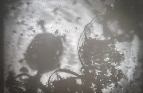 "Świecenie" – muzyczno-wizualny performance na zakończenie wystawy Bartosza Nalepy Zdjęcie z wystawy Dno Lasu - fot. ViC / RESinet.pl 