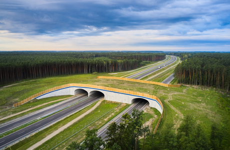 14 firm zainteresowanych wykonaniem dokumentacji dla S74 w woj. podkarpackim fot. GDDKiA Oddział w Rzeszowie 