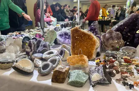 Wiosenna Giełda Biżuterii i Minerałów w Rzeszowie. Blisko 100 wystawców i szkielet krokodyla sprzed 50 milionów lat Wiosenna giełda biżuterii i minerałów 2025 / fot. RESinet.pl 