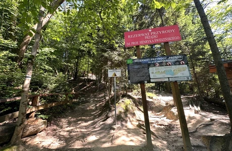 Zwłoki mieszkańca Rzeszowa w Rezerwacie Prządki. Prokuratura wszczęła śledztwo fot. Archiwum RESinet.pl 
