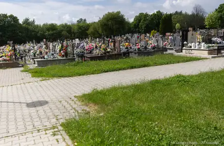 Cmentarz przy ul. Świętokrzyskiej, fot. Grzegorz Bukała / UM Rzeszowa