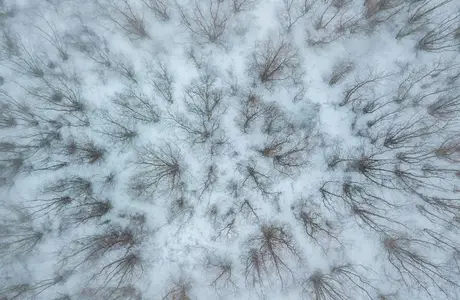 Rzeszowscy fotograficy upamiętnią Piotra Krupę. Wystawa „Z lotu ptaka" w RDK fot. Krzysztof Wroński 