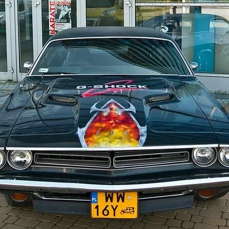 Targi Motoryzacyjne - Podpromie - Rzeszów - 19-20.09.2009 - fot 39