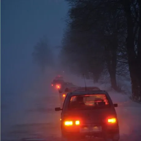 Zawieje i zamiecie śnieżne - Podkarpacie - 03.02.2010  - fot 5