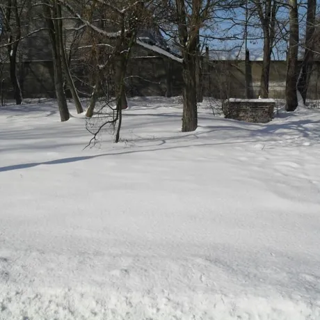 Lisia Góra rezerwat przyrody - fot 1