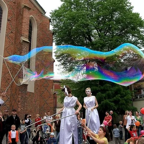 Święto Paniagi w Rzeszowie - fot 3