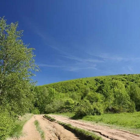 BIESZCZADY - fot 28