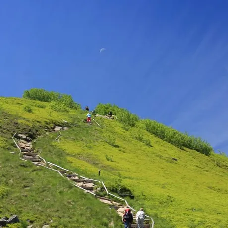 BIESZCZADY - fot 18
