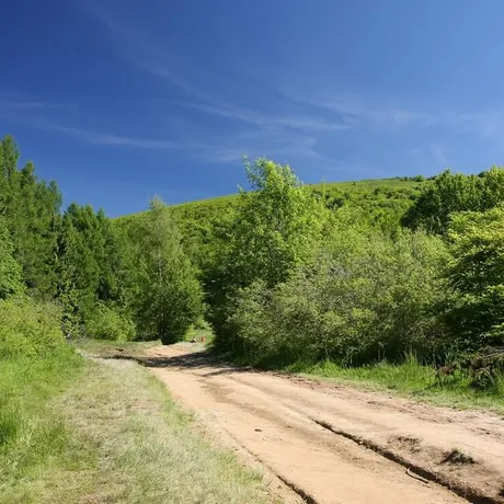 BIESZCZADY - fot 27