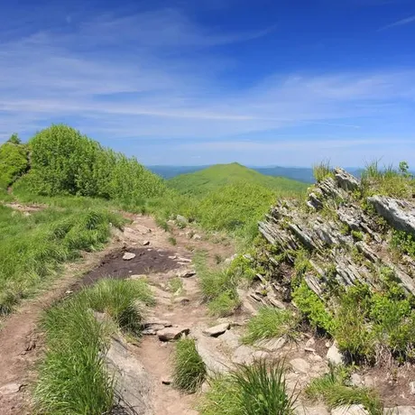 BIESZCZADY - fot 15