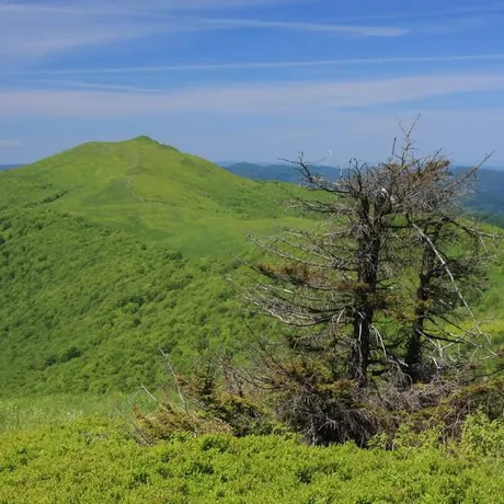 BIESZCZADY - fot 8