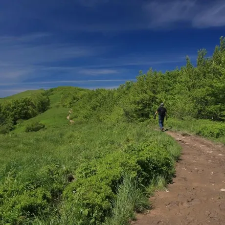 BIESZCZADY - fot 6