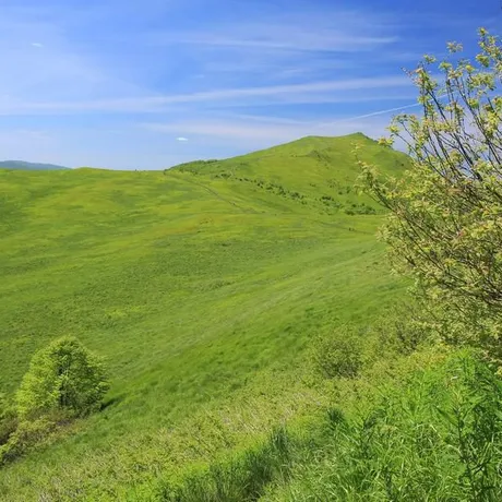 BIESZCZADY - fot 5