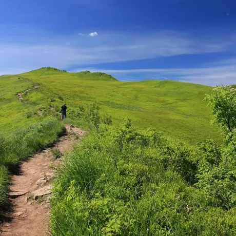 BIESZCZADY - fot 2