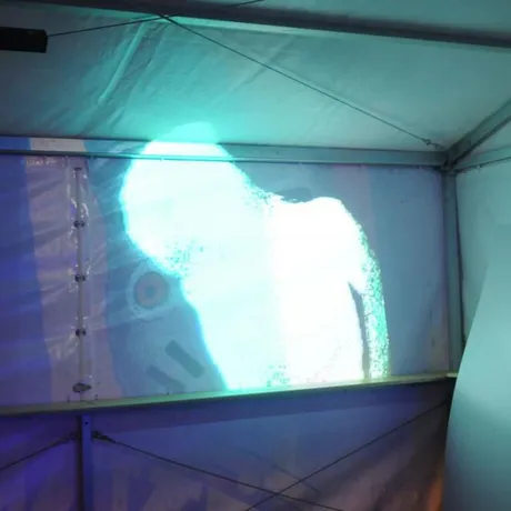 NoBorder Music Festival - fot 16