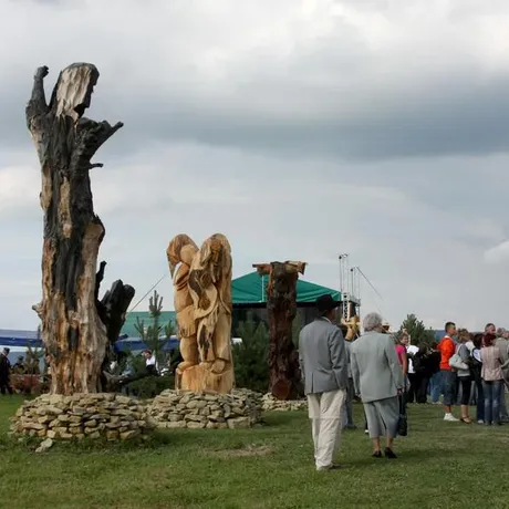 Gogołowskie Drzewoludy  - fot 20