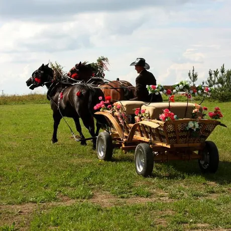 Gogołowskie Drzewoludy  - fot 17