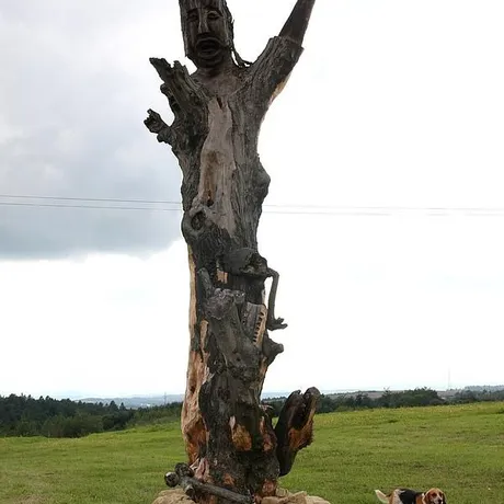 Gogołowskie Drzewoludy  - fot 31