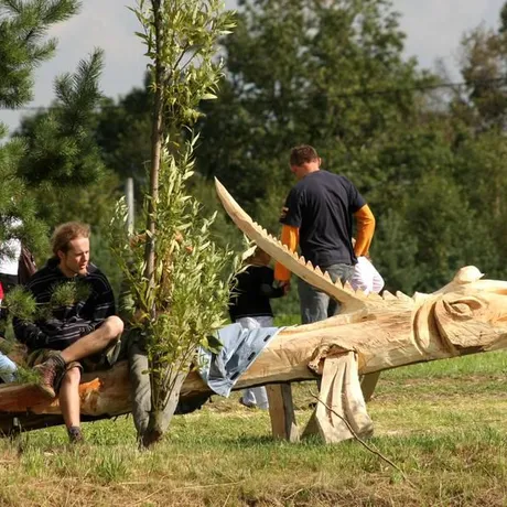 Gogołowskie Drzewoludy  - fot 11