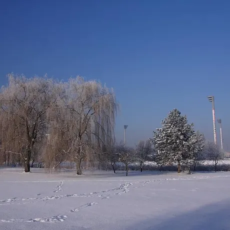 Niedzielny spacer po zimowym  Rzeszowie - fot 2