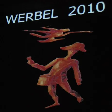WERBEL 2010 - LIVE - Rzeszów - 20.02.2011 - fot 14