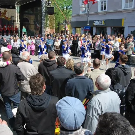 Święto Paniagi - Rzeszów 2011 - fot 1