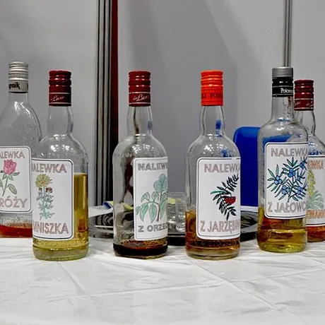 EKOGALA 2011 - fot 17