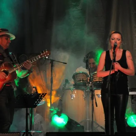 Anna Maria Jopek - LIVE - Rzeszów - 12.11.2011 - fot 12