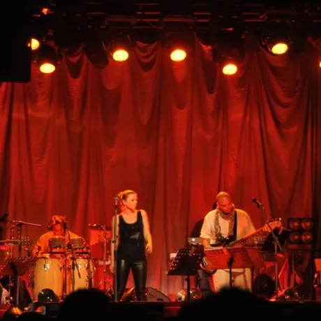 Anna Maria Jopek - LIVE - Rzeszów - 12.11.2011 - fot 25