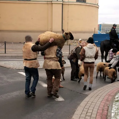 Orszak Trzech Króli w Rzeszowie - fot 52
