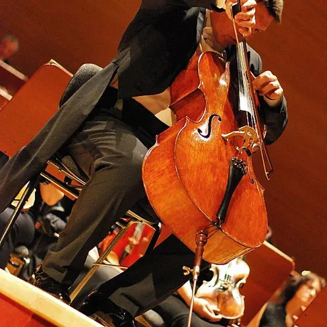 Koncert symfoniczny 