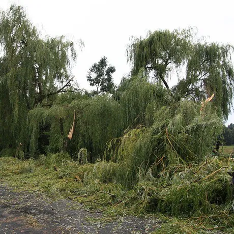 Nawałnica nad Rzeszowem - fot 12