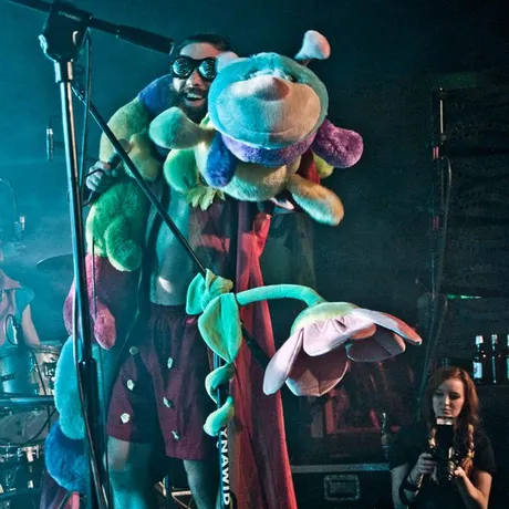 Koncert Łąki Łan  - klub Pod Palmą - Rzeszów - 22.11.2013 - fot 22