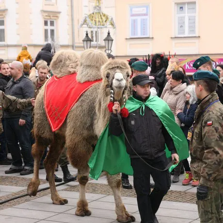 Orszak Trzech Króli Rzeszów 2014 rok - fot 21