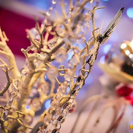 Targi Ślubne 2014 - hala Podpromie - Rzeszów - fot 44