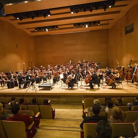 Koncert symfoniczny w Filharmonii Podkarpackiej - 31.01.2014 - fot 2