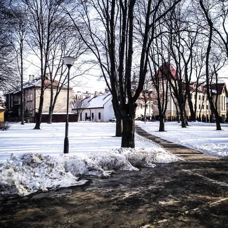 Park przy ul. Dąbrowskiego - Rzeszów 2014 - fot 1