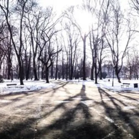 Park przy ul. Dąbrowskiego - Rzeszów 2014 - fot 9