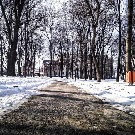 Park przy ul. Dąbrowskiego - Rzeszów 2014 - fot 8