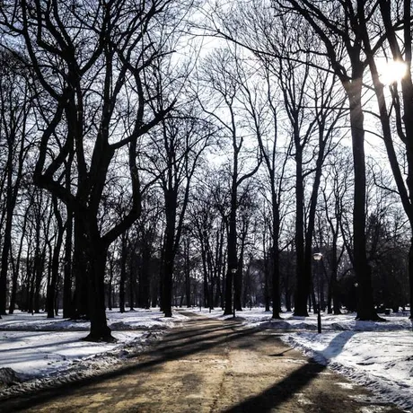 Park przy ul. Dąbrowskiego - Rzeszów 2014 - fot 7