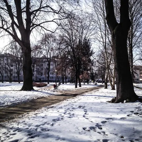Park przy ul. Dąbrowskiego - Rzeszów 2014 - fot 6